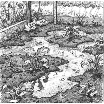 Станция биологической очистки при высоком УГВ и глинистых грунтах